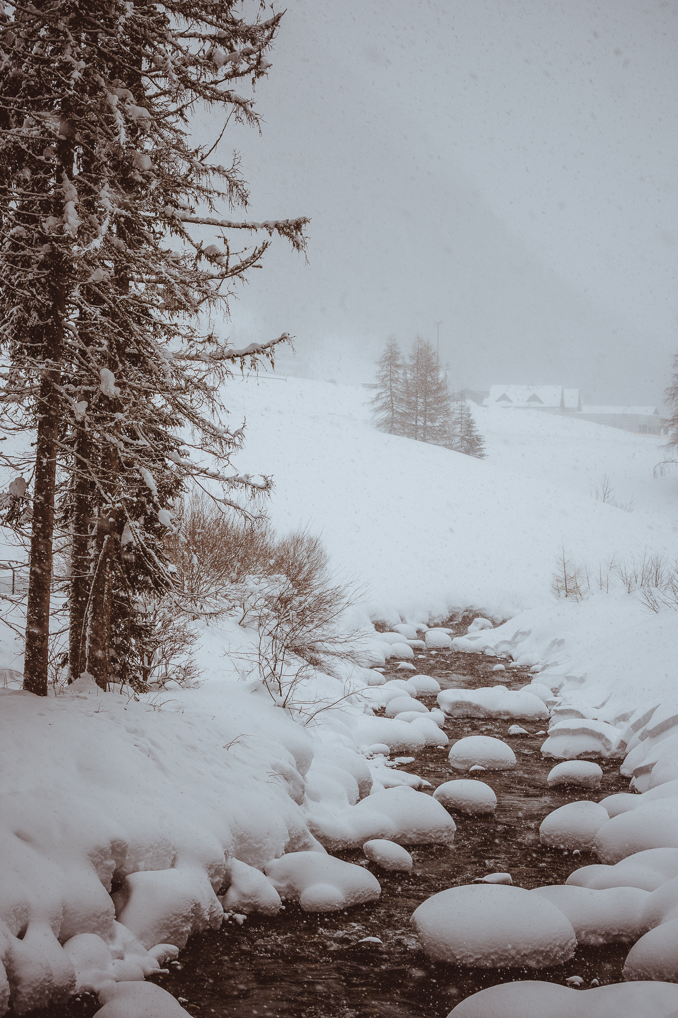 Export x3 1DX29388 Verlobungsfotoshooting 2018 Anna & Dominik